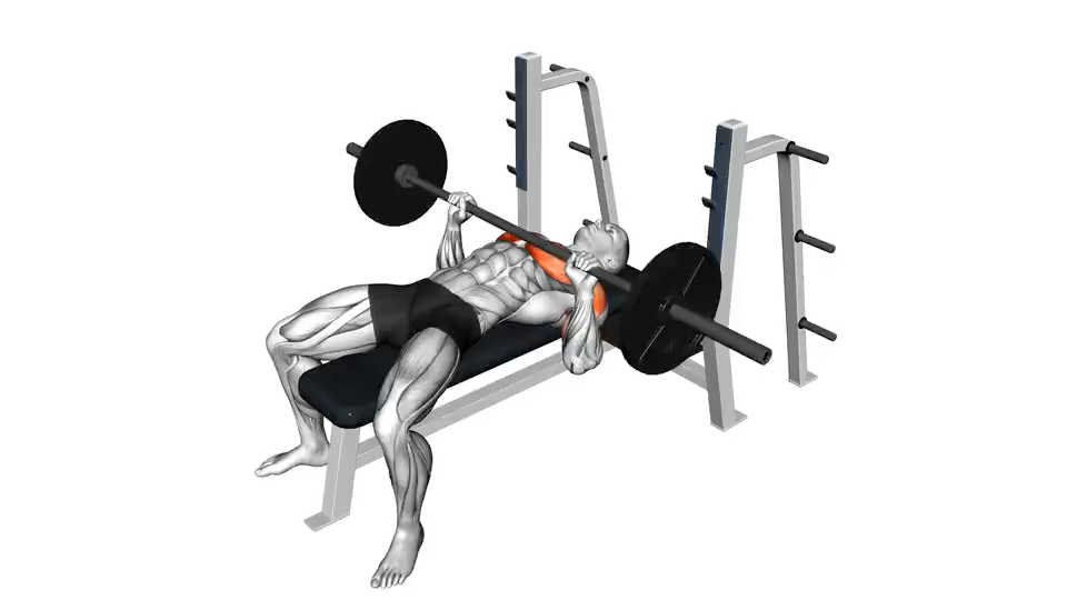 平板杠铃卧推 | bench press