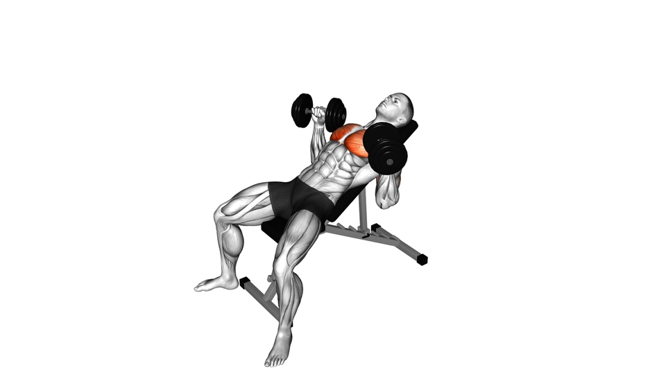 上斜哑铃卧推 | Incline Bench Press