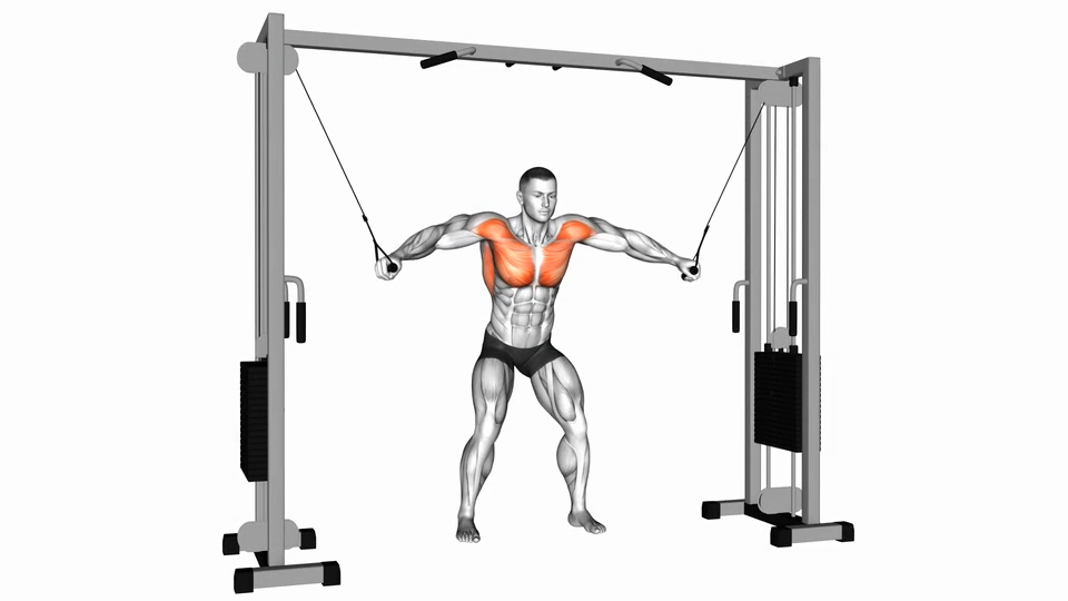 龙门架夹胸 | Cable Standing Fly