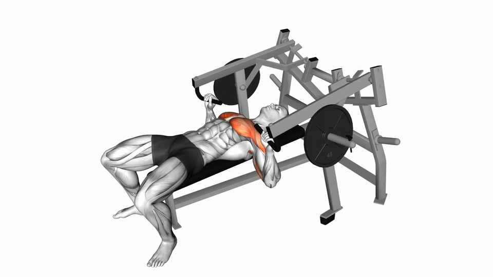 固定器械推胸 | Lever Lying Chest Press