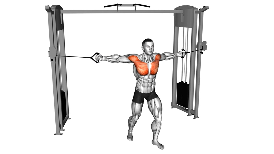 龙门架中把位夹胸 | Cable Middle Fly