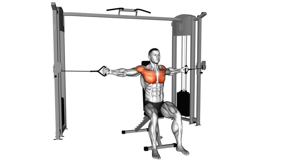 坐姿龙门架中把位夹胸 | Cable Seated Chest Fly