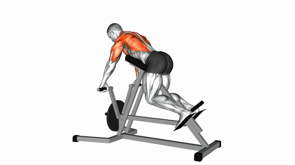 T杠划船 | Lever Lying T-bar Row