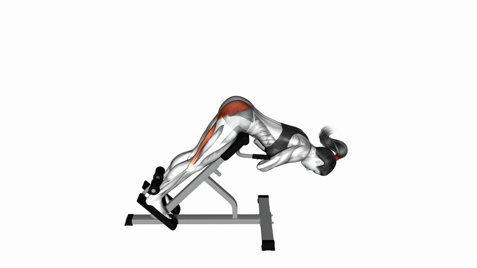 山羊挺身 | 45 degree hyperextension