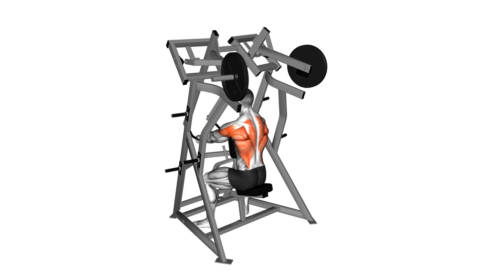 固定器械划船 | Lever Low Row