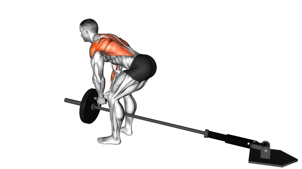 V把T杠划船 | Lever Bent-over Row with V-bar