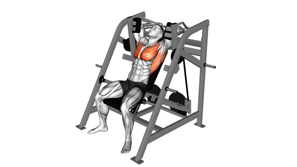 鹦鹉螺固定器械下拉 | Lever Pullover