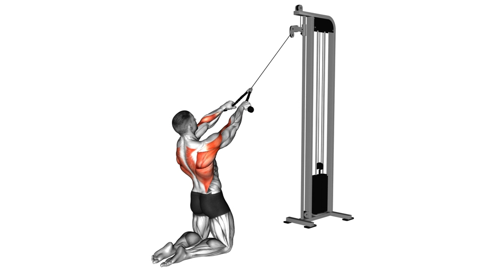 绳索面拉 | Cable High Row