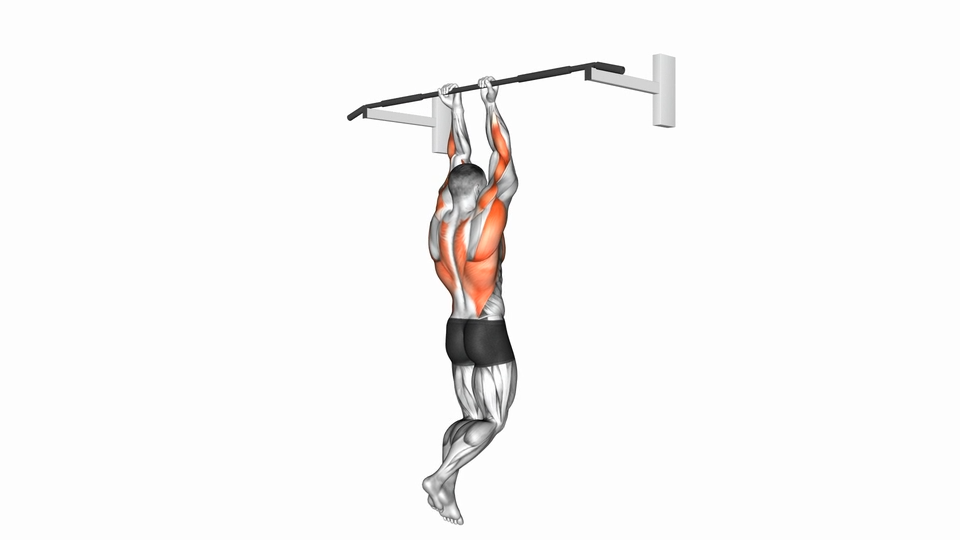 窄握引体向上 | Close Grip Chin-Up