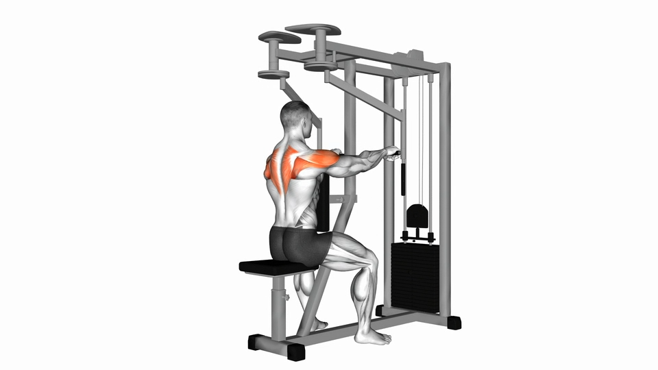 坐姿反向飞鸟 | Lever Seated Reverse Fly