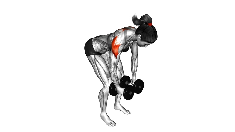 俯身哑铃飞鸟 | Dumbbell Rear Delt Fly