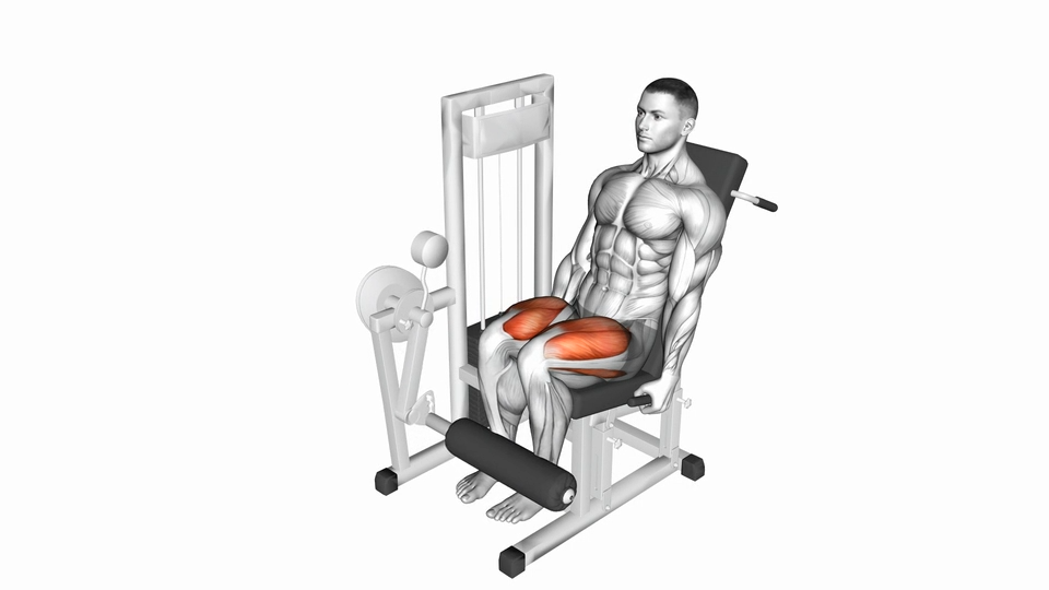 坐姿腿曲伸 | Lever Leg Extension