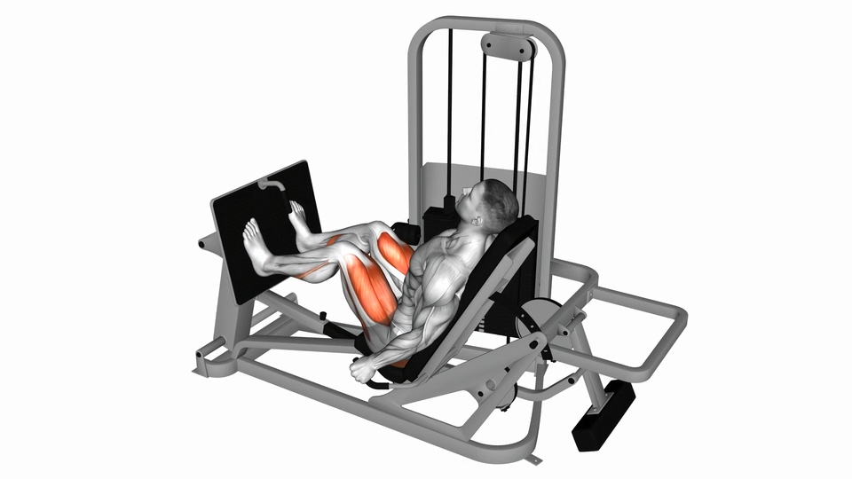 固定器械蹬腿 | Lever Seated Leg Press