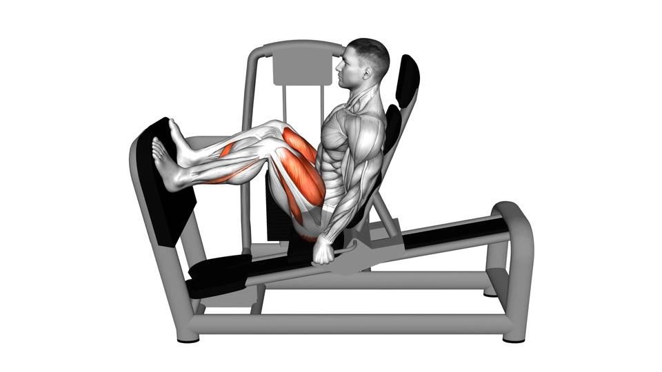 固定器械蹬腿 | Lever Seated Leg Press