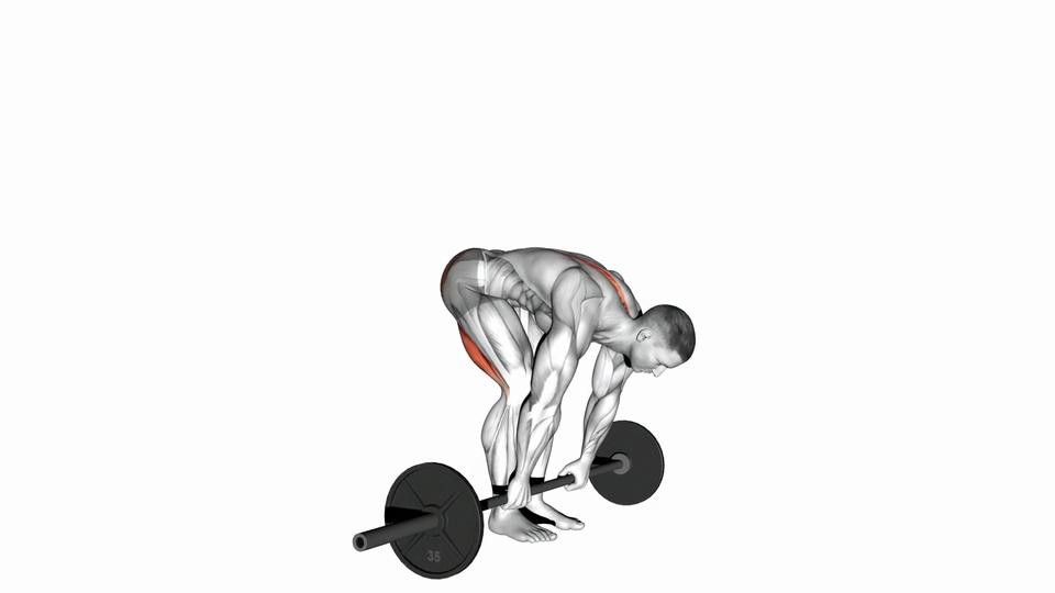 直腿硬拉 | Straight Leg Deadlift