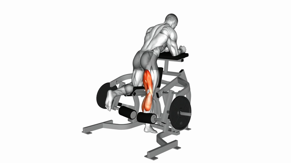 固定器械跪姿腿弯举 | Lever Kneeling Leg Curl