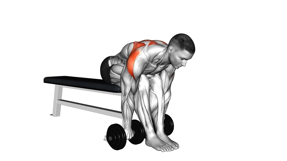 哑铃坐姿俯身三角肌后束划船 | Dumbbell Seated Bent Over Rear Delt Row