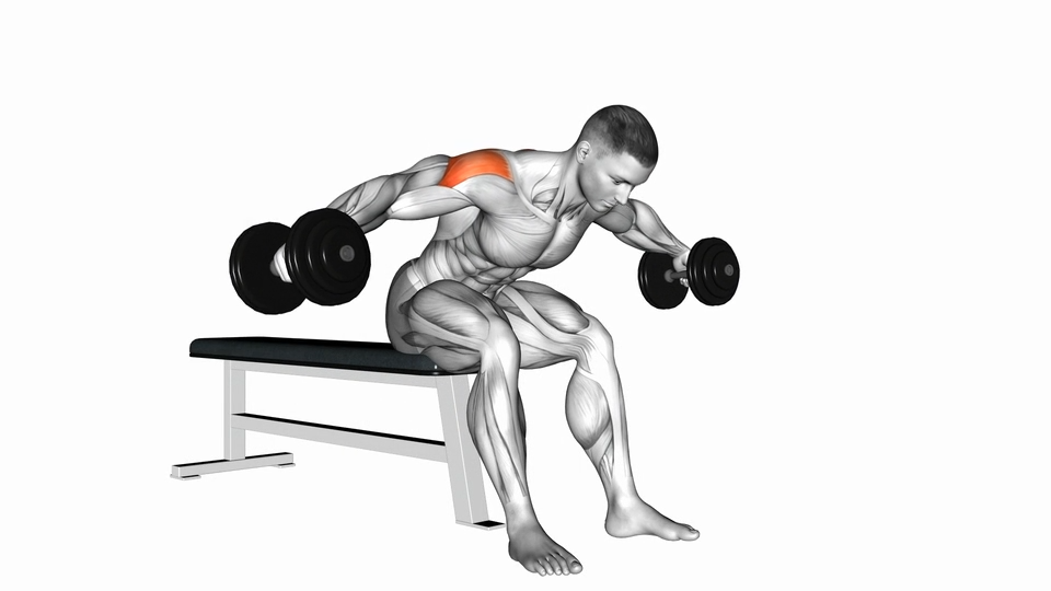 哑铃俯身飞鸟 | Dumbbell Rear Fly