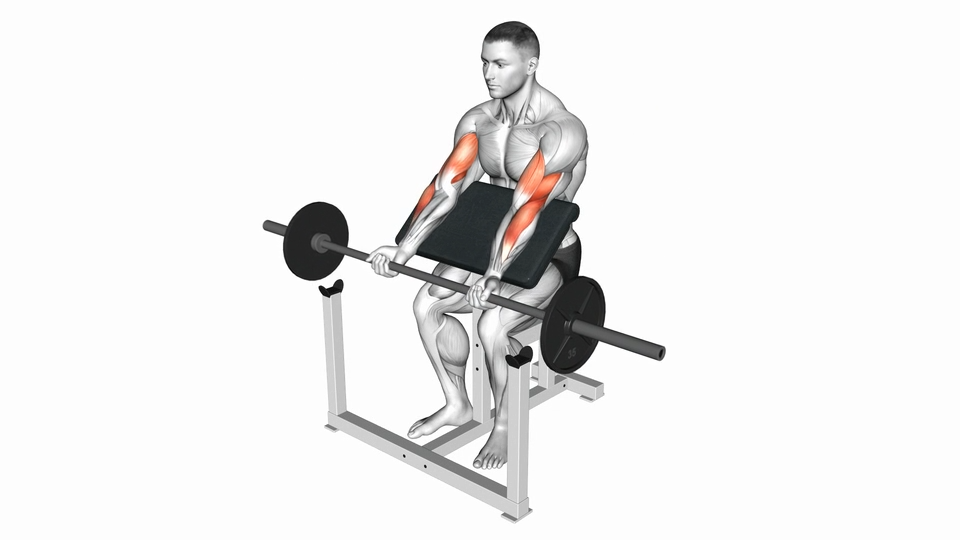 牧师弯举 | Preacher Curl