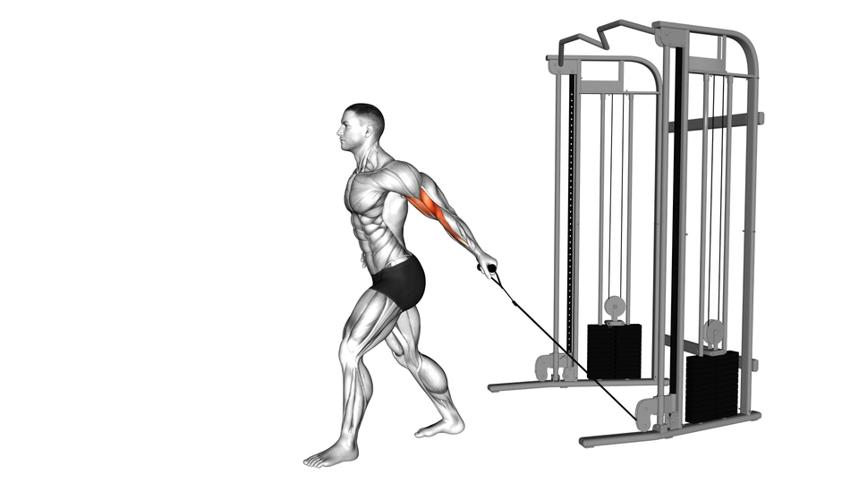 绳索单臂二头肌弯举 | Cable One Arm Biceps Curl