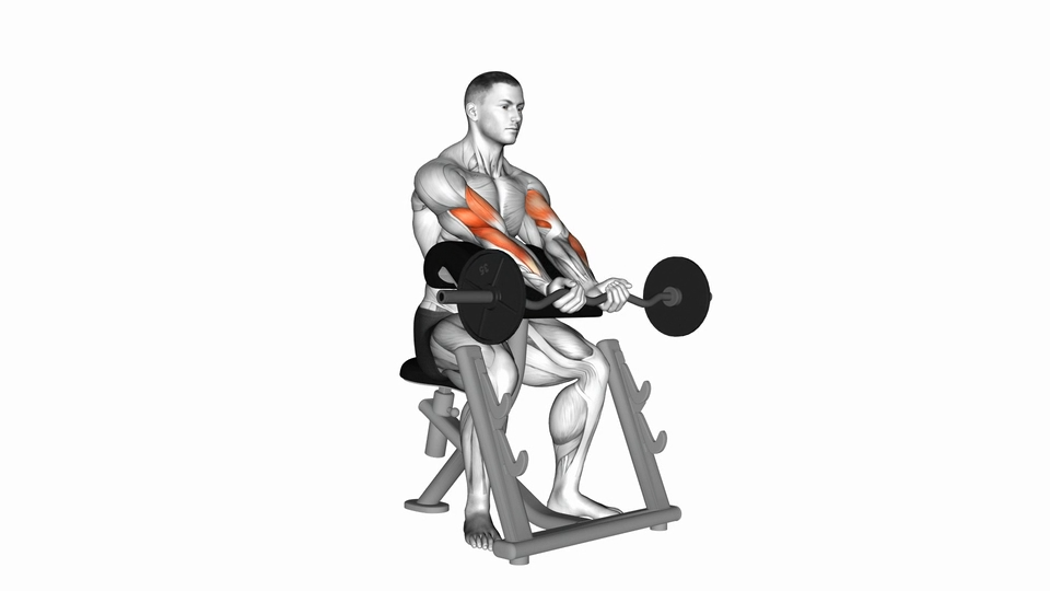 窄握牧师椅弯举 | Close Grip Preacher Curl