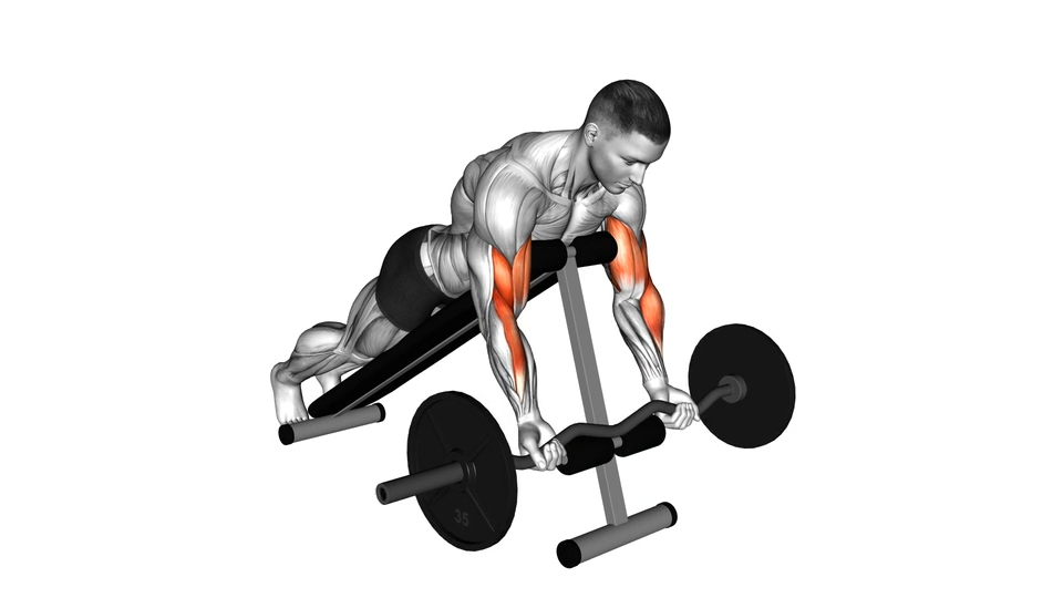 弯杆杠铃蜘蛛弯举 | EZ Barbell Spider Curl