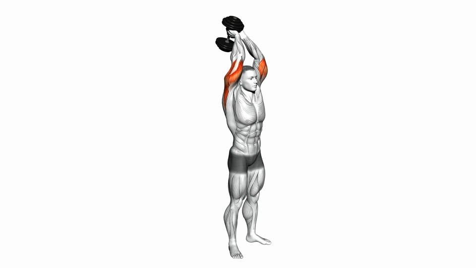 站姿肱三头肌伸展 | Standing Triceps Extension