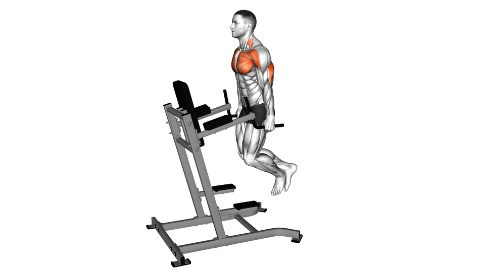 三头肌屈伸 | Triceps Dip