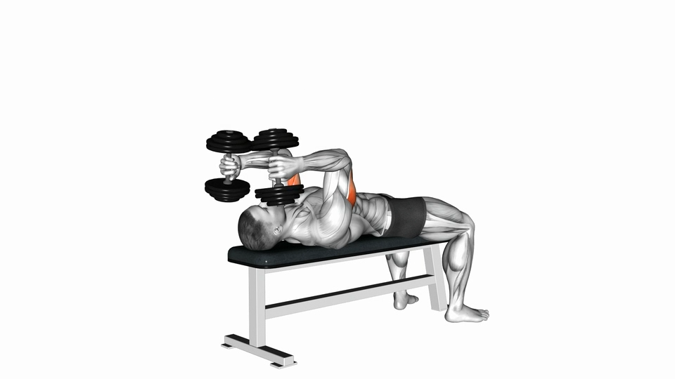 仰卧肱三头肌伸展 | Lying Triceps Extension