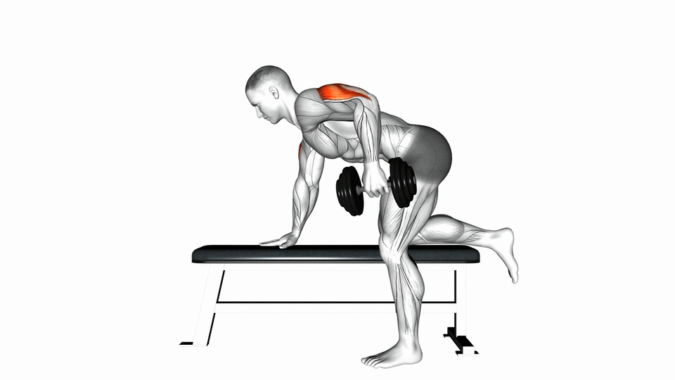 俯身哑铃臂屈伸 | Kickback