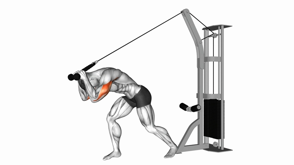 绳索高位滑轮过顶三头肌伸展 | Cable Rope High Pulley Overhead Tricep Extension