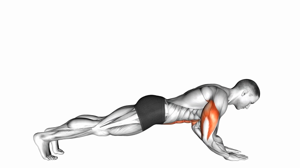 前臂俯卧撑 | Push-up on Forearms