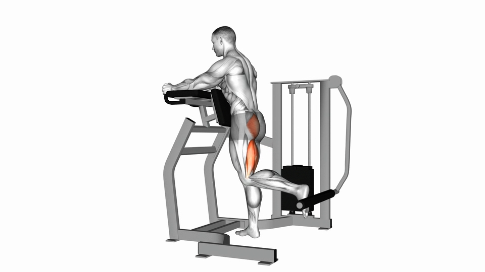 杠杆站立髋部伸展 | Lever Standing Hip Extension