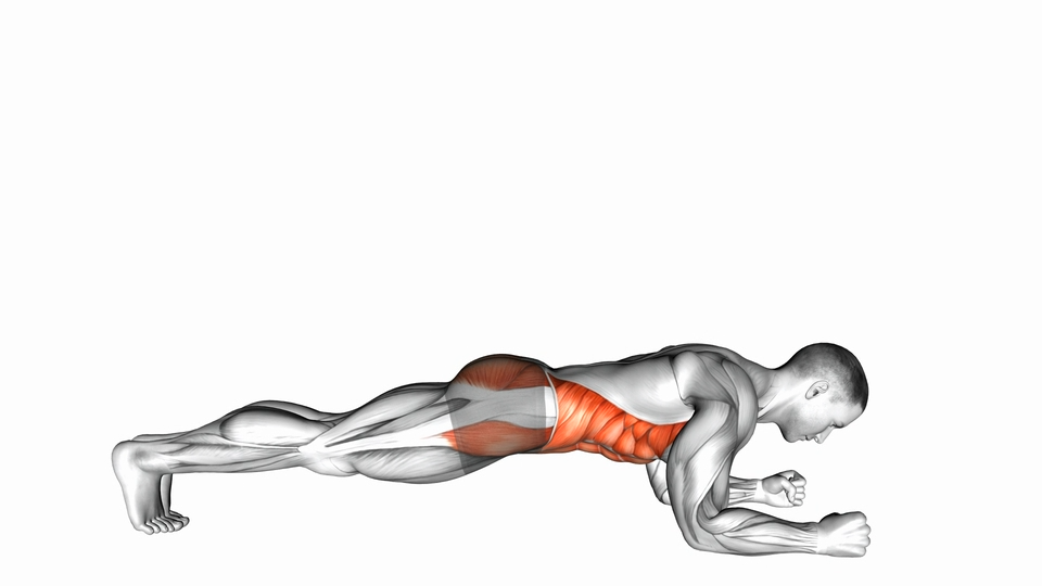 平板支撑 | Front Plank
