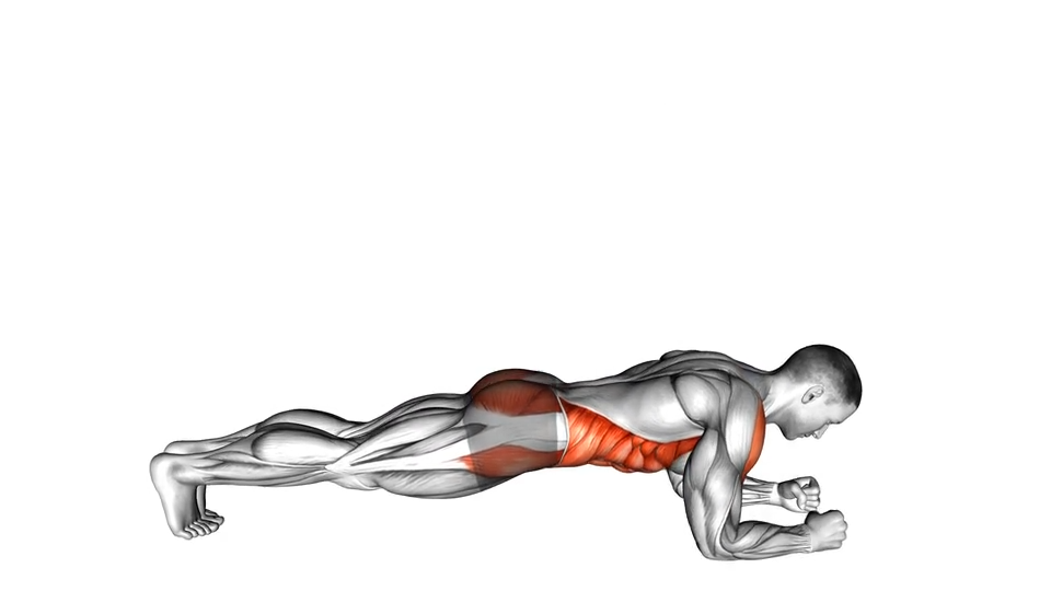 扭转式前平板撑 | Front Plank with Twist