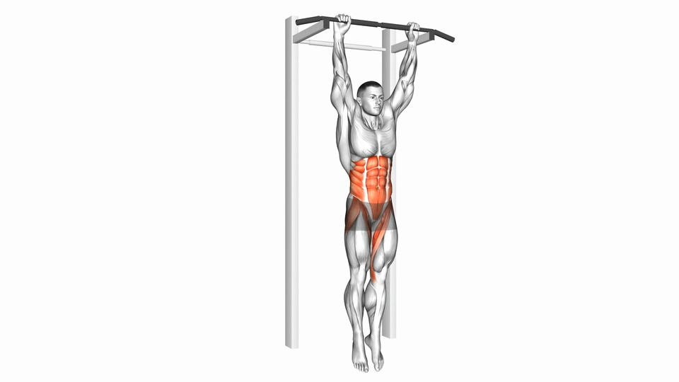 悬垂腿抬臀 | Hanging Leg Hip Raise