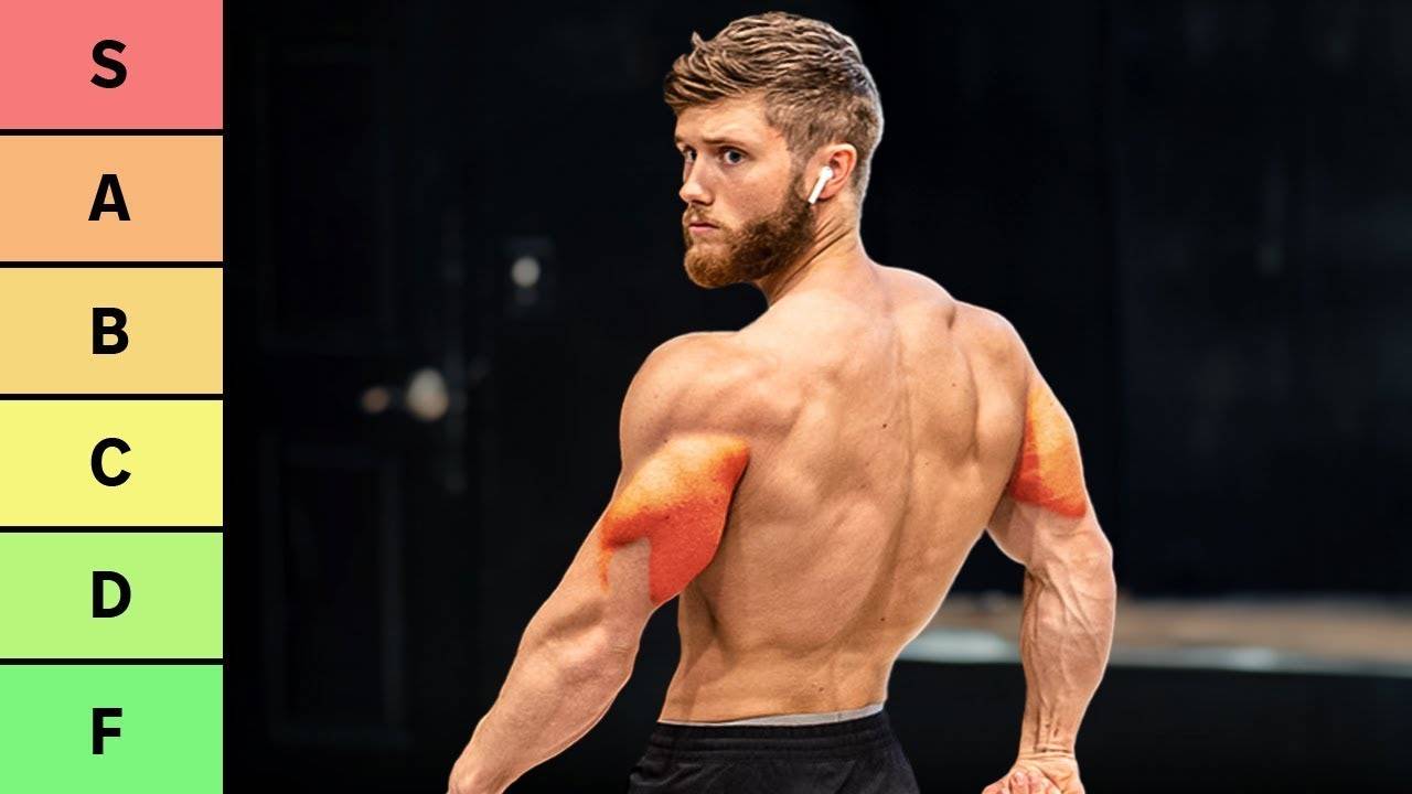 最佳和最差的三头肌训练动作 |  The Best & Worst TRICEPS Exercises